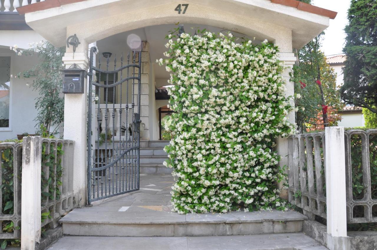 Apartmaji Stamcar Izola Exterior foto